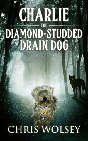 Book cover of Charlie the Diamond-Studded Drain Dog
