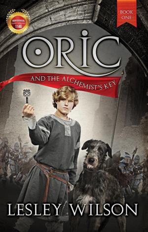 Cover of the book Oric and the Alchemist's Key by JOAN DRUETT