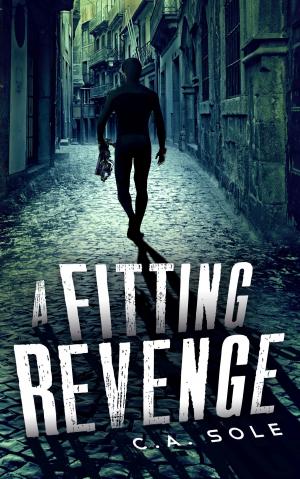 Cover of the book A Fitting Revenge by David Tracey