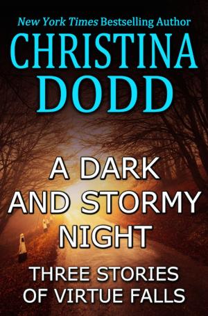 Book cover of A Dark and Stormy Night