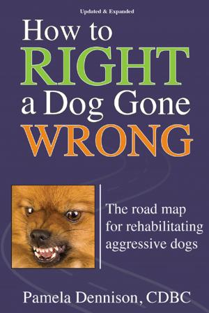 Cover of the book How To Right A Dog Gone Wrong by Rachel Page Elliott