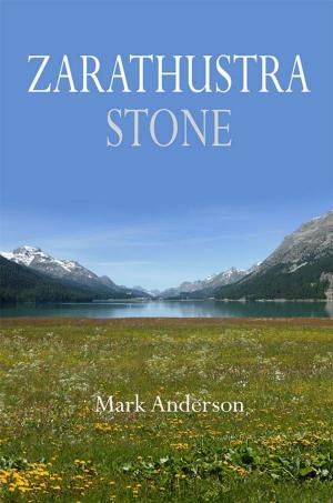 Cover of the book Zarathustra Stone by 王霞、吕克