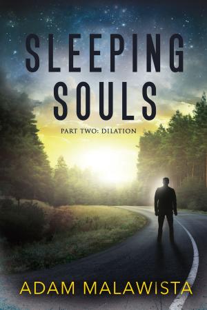 Cover of the book Sleeping Souls by Michael MacDonald