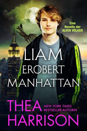 Book cover of Liam erobert Manhattan