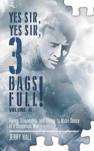 Book cover of Yes Sir, Yes Sir, 3 Bags Full! Volume II