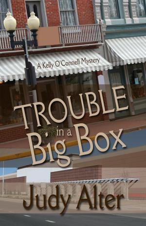 Book cover of Trouble in a Big Box