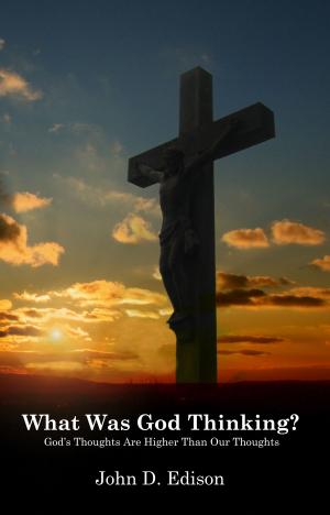 Cover of the book What Was God Thinking? by David Robertson