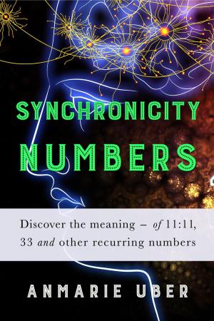 Book cover of Synchronicity Numbers