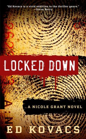 Cover of the book Locked Down by J. Lilley
