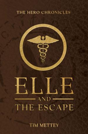 Cover of the book Elle and the Escape by Steve Karmazenuk