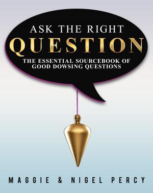 Cover of the book Ask The Right Question by Maggie Percy, Nigel Percy
