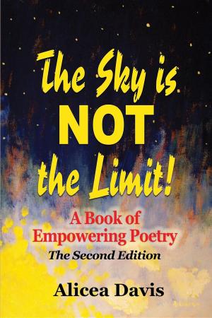 Cover of the book The Sky is NOT the Limit! by Margrit Dahm