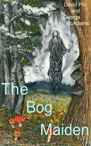 bigCover of the book The Bog Maiden by 
