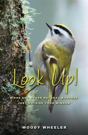 bigCover of the book Look Up! by 