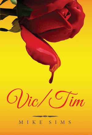Book cover of Vic/Tim