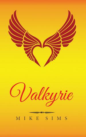 bigCover of the book Valkyrie by 