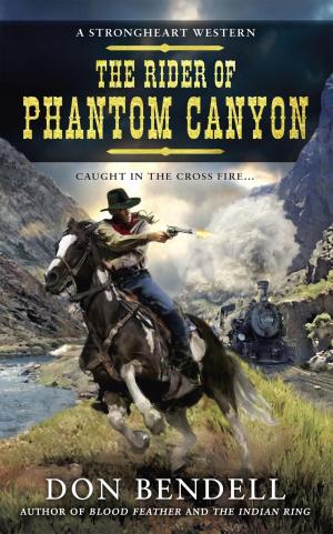 Cover of the book The Rider of Phantom Canyon by Everly Ryan