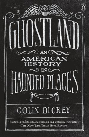 Cover of the book Ghostland by Monica Ferris