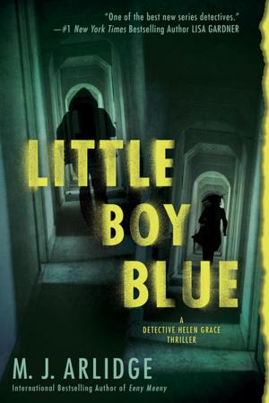 Cover of the book Little Boy Blue by Annelise Hagen