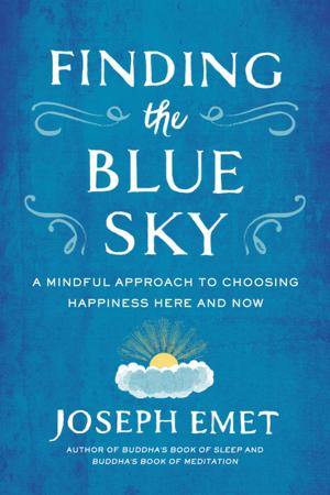 Cover of the book Finding the Blue Sky by Gretchen Carlson