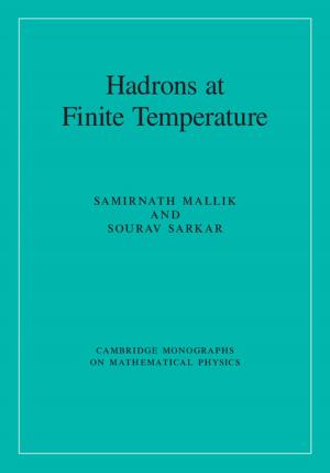 Cover of the book Hadrons at Finite Temperature by Eduard Vieta, Carla Torrent, Anabel Martínez-Arán
