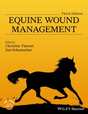 Cover of the book Equine Wound Management by Walter Burkert