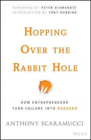 Cover of the book Hopping over the Rabbit Hole by David J. Lynn