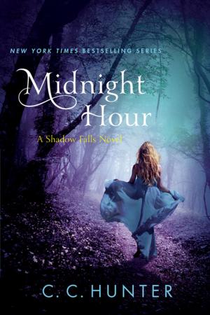 Cover of the book Midnight Hour by Geoffrey T. Holtz