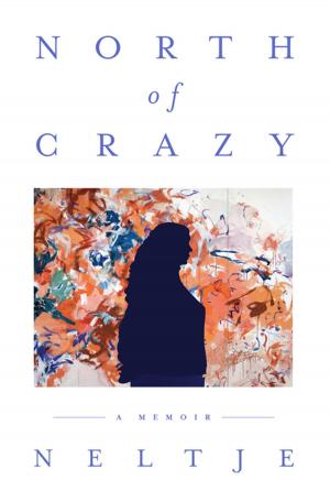 bigCover of the book North of Crazy by 