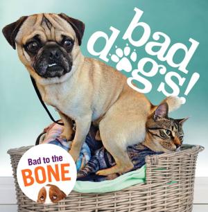 Cover of the book Bad Dogs by Robert Kirkman, Jay Bonansinga