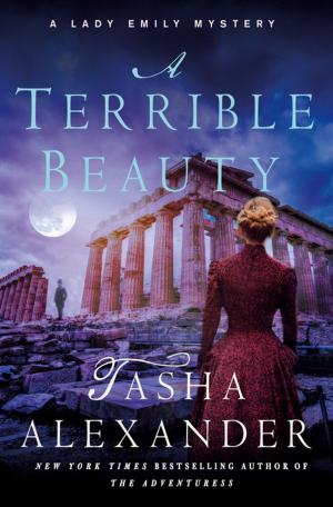 Cover of the book A Terrible Beauty by M.K. Coker