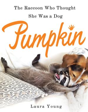 Cover of the book Pumpkin: The Raccoon Who Thought She Was a Dog by Charles J. Sykes