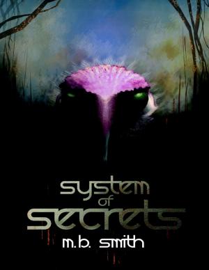 Cover of the book System of Secrets by Keith Grant Jr