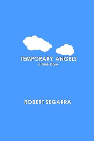 Book cover of Temporary Angels