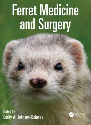 Cover of the book Ferret Medicine and Surgery by Amos Nussinovitch, Madoka Hirashima