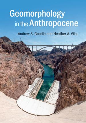 Cover of the book Geomorphology in the Anthropocene by Jonathan Steinberg
