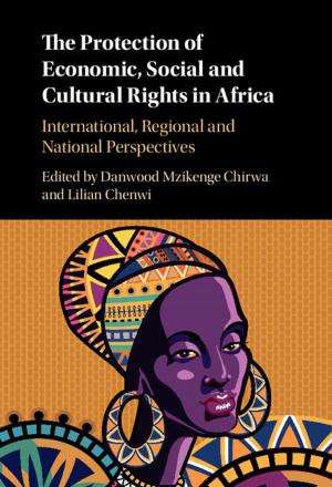 Cover of the book The Protection of Economic, Social and Cultural Rights in Africa by 