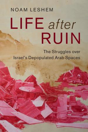 Cover of the book Life after Ruin by Gennaro Auletta, Mauro Fortunato, Giorgio Parisi