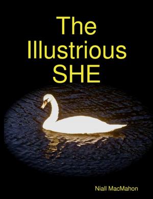Cover of the book The Illustrious She by Debra S. Pylypiw, Ed.D.