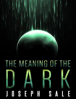 Cover of the book The Meaning of the Dark by John Edmonds