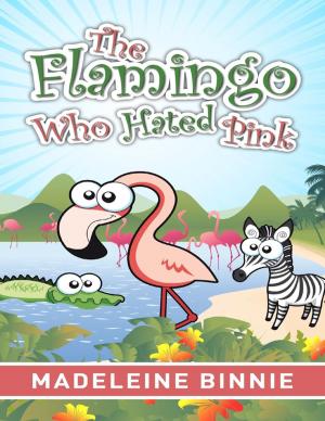 Cover of the book The Flamingo Who Hated Pink by Daisy Meadows