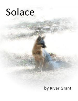 Cover of the book Solace by Jeffery Sims