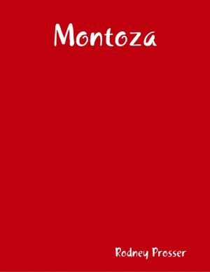 Cover of the book Montoza by Tami Brady