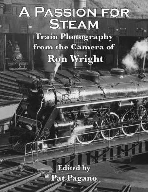 Book cover of A Passion for Steam: Photography from the Ron Wright Collection