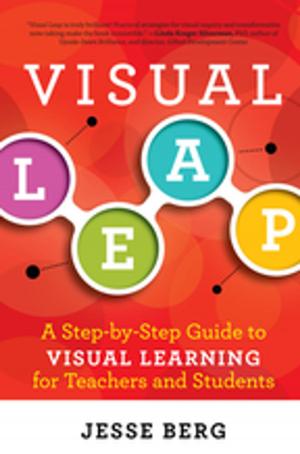 Cover of the book Visual Leap by Nathan Hanover