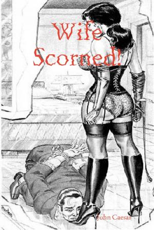 Cover of the book Wife Scorned! by John Kimmey