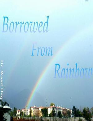 Book cover of Borrowed from Rainbow