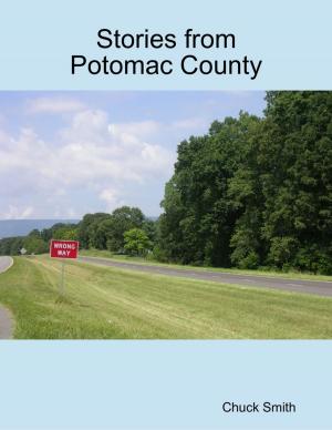 Cover of the book Stories from Potomac County by Adiyar Zharmenov