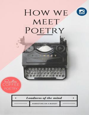 Cover of the book HOW WE MEET POETRY by R.K. Souliske