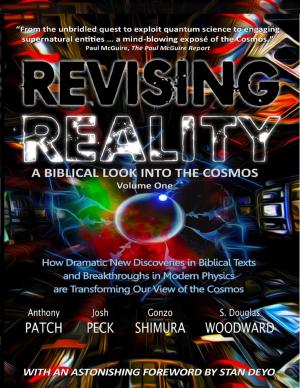 Book cover of Revising Reality: A Biblical Look Into the Cosmos